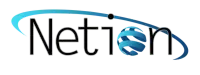 Netion